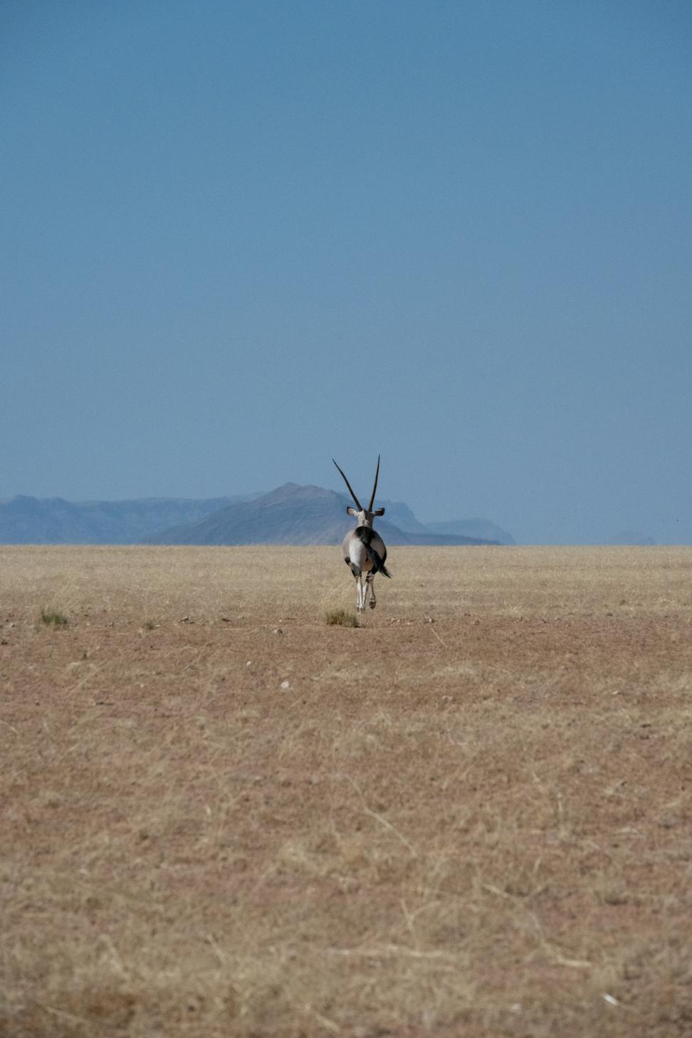 Consultation Meeting